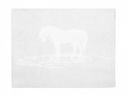 moshat� pamutsz�nyeg - sz�rke vonalas elef�nt